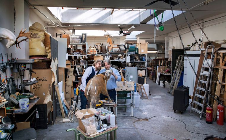 Het dode dier op z'n allermooist - Trouw