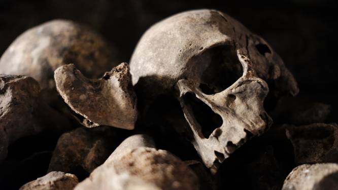 Le squelette d’une “femme vampire” découvert par des archéologues en Pologne 
