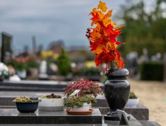 Stedelijke begraafplaats wordt park en ontmoetingsplek