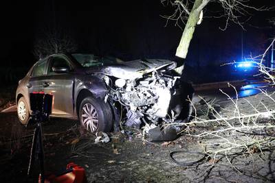 Bestuurder (24) crasht tegen boom in Hemiksem: wagen zwaar beschadigd