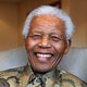Dagboeken Nelson Mandela online