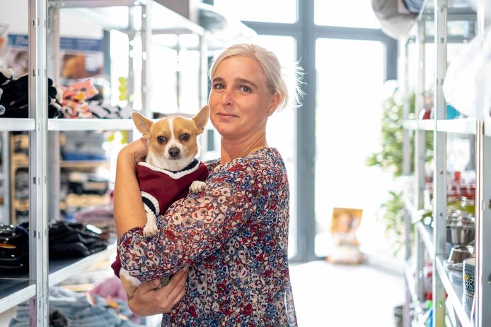 Geld lenende rok Conserveermiddel Nieuwe dierenwinkel Kef Kef opent deuren: “Uniek aanbod aan kleding en  accessoires voor viervoeters” | Willebroek | hln.be