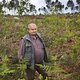 Hoge bomen: boomhakker Ghislain Libart