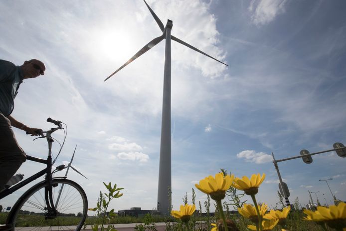 Een fietser passeert een van de windmolens bij Plantion.