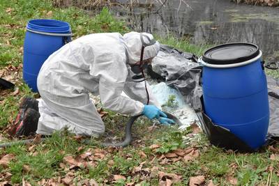 Staatsbosbeheer: opruimen bluspoeder bij De Lieskampen kost duizenden euro's