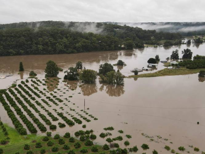 Dode en duizenden evacuaties door overstromingen in Australië