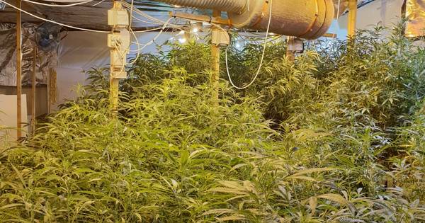 Overbetuwe sluit bedrijfspand in Heteren na vondst hennepkwekerij