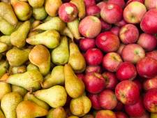 Verwachting: meer appels en juist minder peren