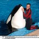 "SeaWorld hield orka's met Valium en Xanax onder controle"