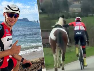 KIJK. Indrukwekkend: 23-jarige Vlaamse renner kan galopperend paard bij teugels nemen in volle koers
