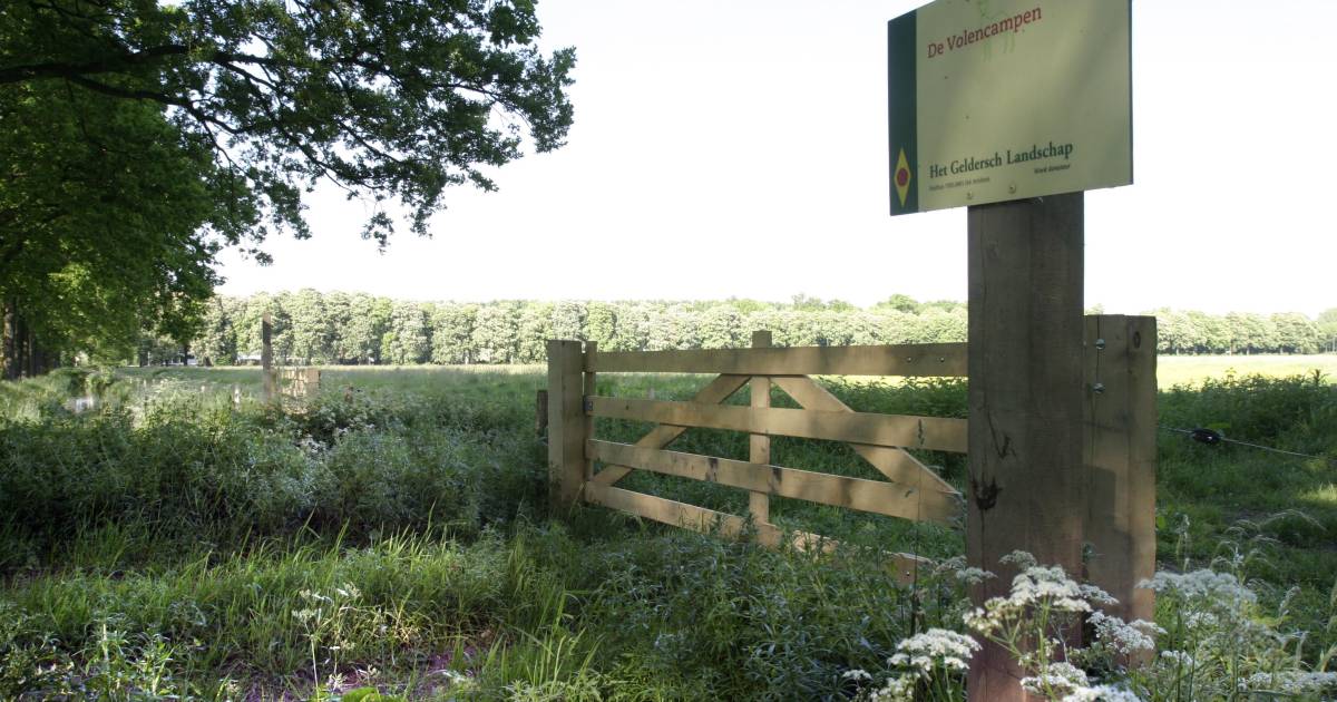 culemborgers in actie tegen intensief agrarisch beheer van eeuwenoud weiland de volencampen utrecht ad nl