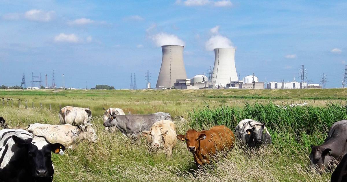 Kerncentrale in Doel tien jaar langer open door stijgende energieprijzen - Provinciale Zeeuwse Coura