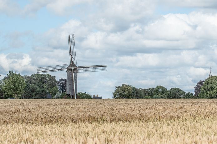Huisekoutermolen in Huise