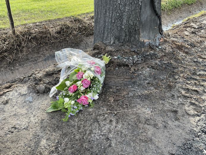 Op de plek van een dodelijk ongeval dat begin april plaats vond op de Ypeloweg zijn bloemen neergelegd.