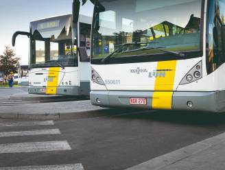 De Lijn ziet “voorzichtig positieve” signalen na invoering nieuw vervoersnet: nog wel touringcars nodig voor sommige schoolritten
