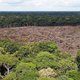 Braziliaanse president wil regenwoud uitwringen, aangespoord door zijn apocalyptische visie