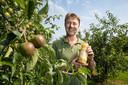 Cees Vink tussen zijn fruitbomen. In een liter van zijn appelsap gaat 1,7 kilogram aan appels.