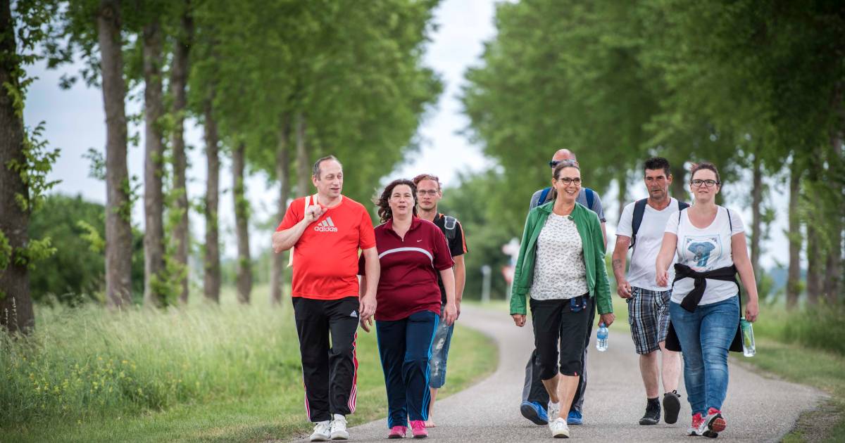 Avondvierdaagse Vogelwaarde