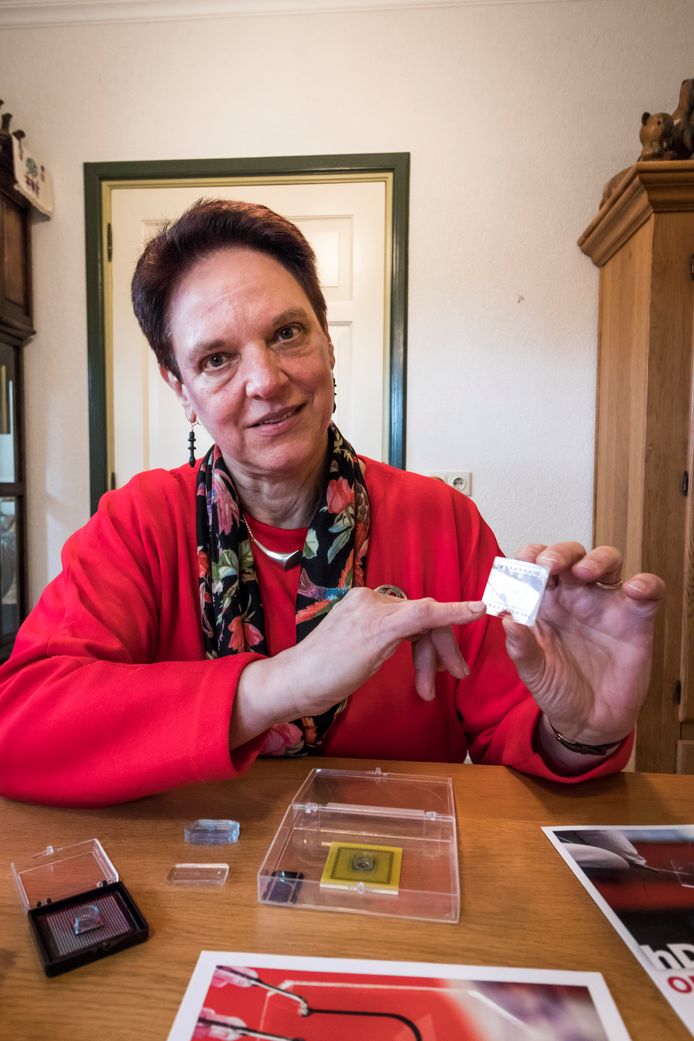 Janny van den Eijnden van het Organ-on-Chip consortium.