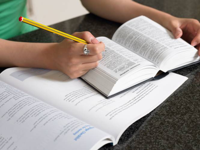 Studenten kunnen blokken in de bib van Brakel