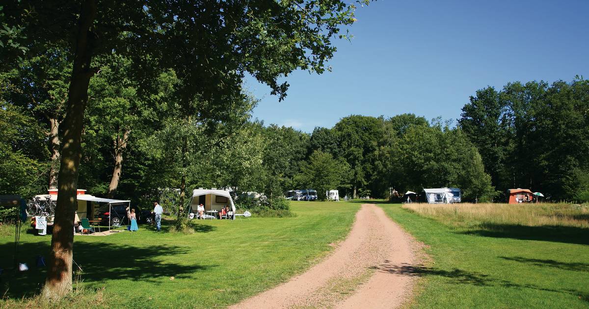 Natuurcamping Olde Kottink in Beuningen mogelijk beste van Nederland