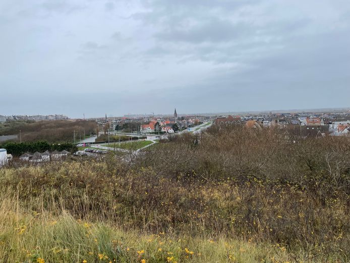 Zicht op Wenduine