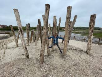 IN BEELD. Oude camping is voortaan een natuurzone met uitkijkpunt: “Erfgoed, natuur en spelen worden met elkaar verweven”