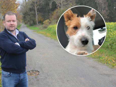 Jogger steekt hondje dood voor ogen van zijn baasje: ‘Dribbel deed geen vlieg kwaad’