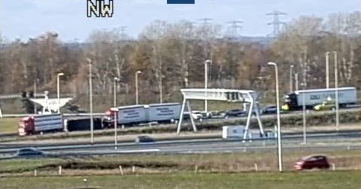 Vrachtwagen met vee gekanteld op A1.