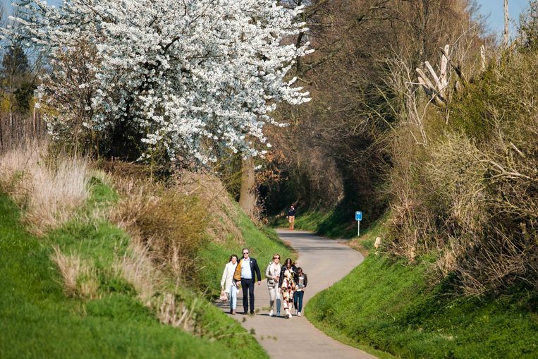 Afbeeldingsresultaat voor visit sint-truiden bloesem