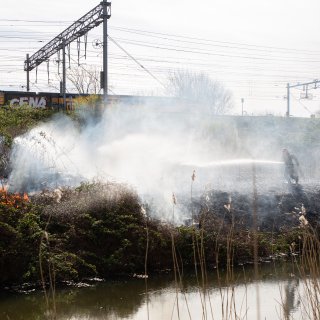Fire breaks out in bushes along train tracks at Van der Madeweg