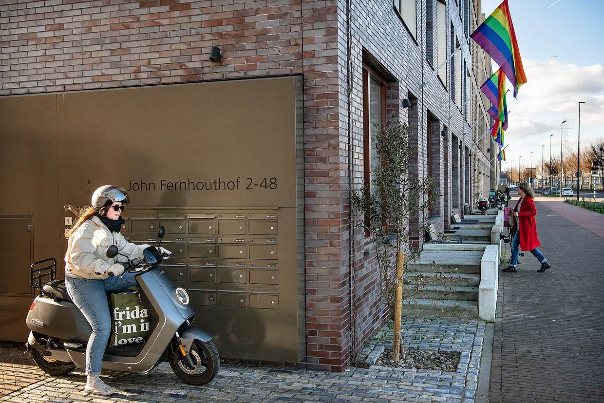 Regenboogvlaggen in IJburg. Beeld Guus Dubbelman / de Volkskrant