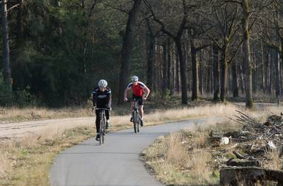 Verwarde man probeert mountainbike te stelen van fietser in Leenderbos bij Heeze