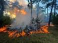 Brandweer blust zeer grote heidebrand en kleiner vuur in bosgebied bij Waalre, nablussen duurt uren