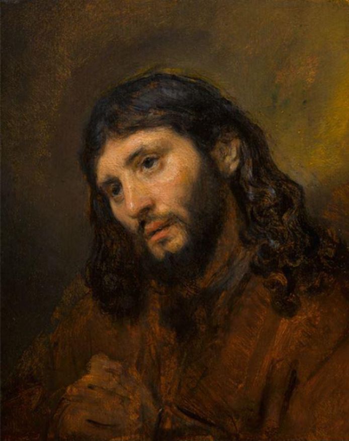 Het schilderij ‘Portret van het hoofd van een jonge man’ of ‘Study of the Head of a Young Man’.