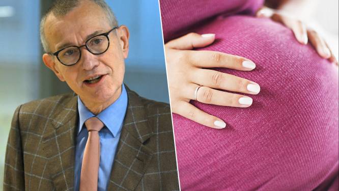 Frank Vandenbroucke propose un délai de 5 ans pour être enceinte d'un partenaire décédé