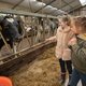 ‘Schaf die boerderijklassen af: leer kinderen waar ons voedsel écht vandaan komt’