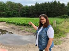 Buurvrouw Ossendrechtse kazerne zag slachtoffer in pick-up liggen: ‘Heel heftig’