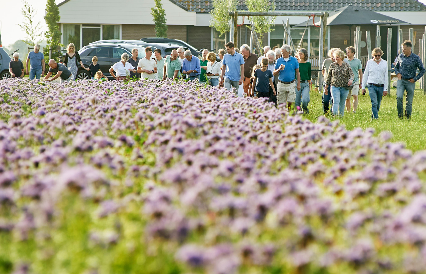 Boeren in Osse polder gaan uit zichzelf al voor schonere bodem, lucht en water ‘Uniek proces