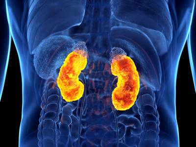 1 op de 10 mensen hebben chronische nierschade: hoe herken je dat en kan je het voorkomen?