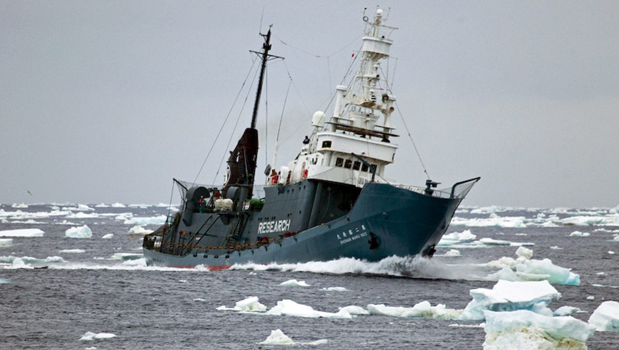 Een harpoenschip bij Antarctica. Beeld EPA