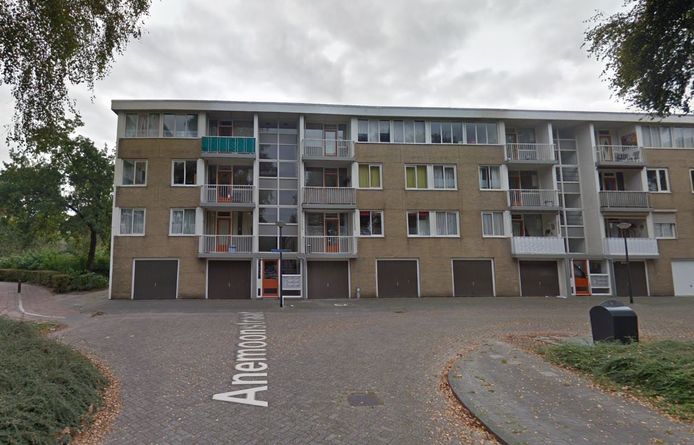 De flats aan de Ranonkelstraat in Oosterhout.