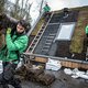 Bijna ieder dak is geschikt en je kunt het vaak zelf: in vijf stappen naar een groendak