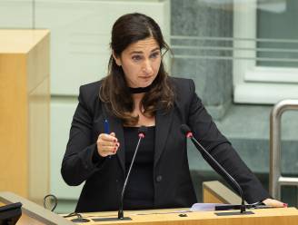 Demir en Nederlandse stikstofminister willen beiden "doorzetten met stikstofbeleid"