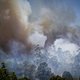 Bosbranden Tasmanië leggen Werelderfgoed in as