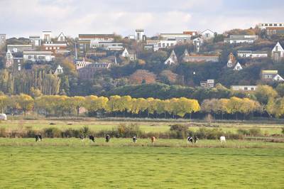 Initiatiefgroep Beek: ‘Onze mooie stuwwal wordt bedreigd’