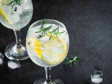 Alcoholvrije gin getest: ‘Met een scheut tonic erbij verandert het in een godendrank’