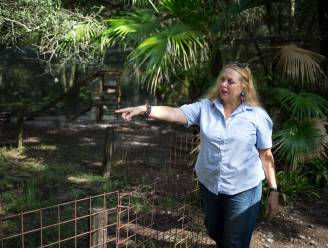 Plottwist in ‘Tiger King’-vete: aartsrivaal Baskin verkoopt dierentuin van Joe Exotic