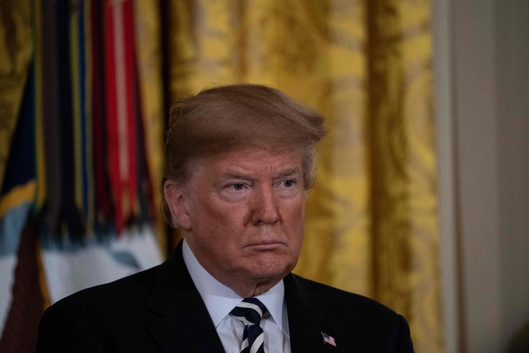 Amerikaans president Donald Trump. Beeld AFP