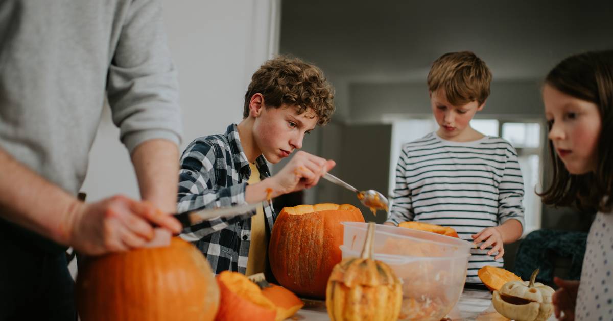 De herfstvakantie staat voor de deur tien tips om de kinderen mee op